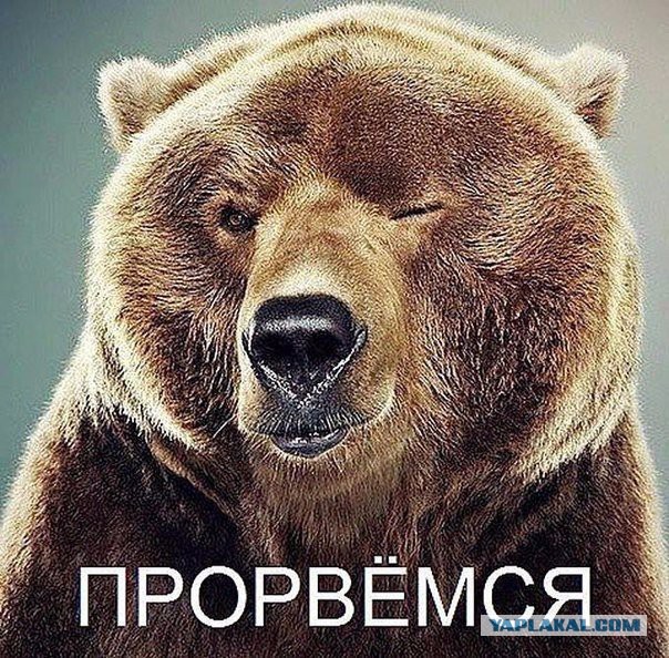 ЯП, С Днём Рождения !