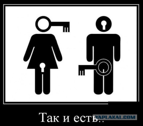 Шкаф под книги - это глупо?!