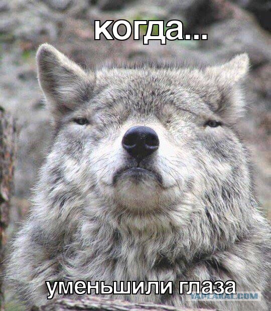 Придет серенький волчок