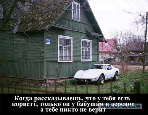 Картинки из сети