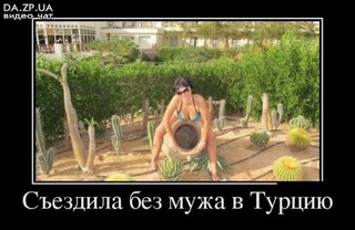 Плюшкиным посвящается