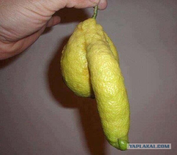 21 доказательство того, что Фрейд был прав