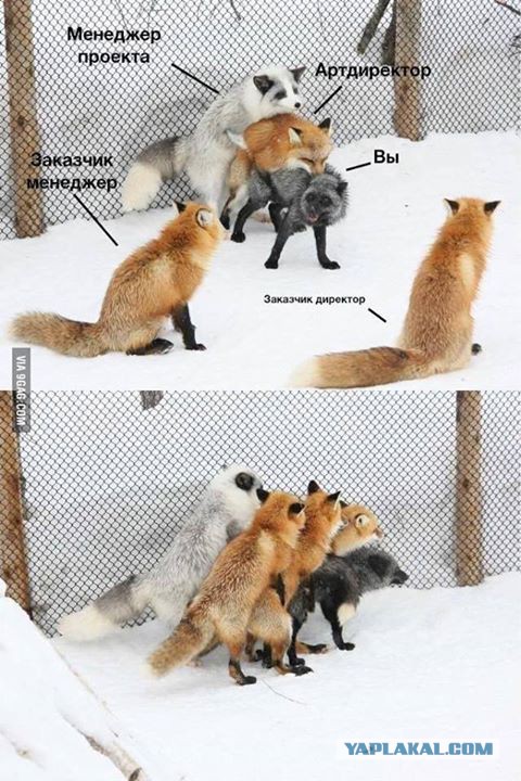 Кто кем работает?