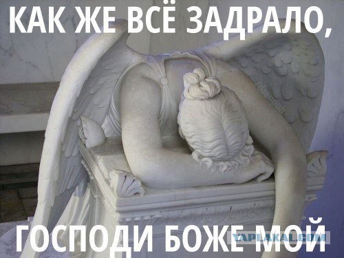 Приколы из сети