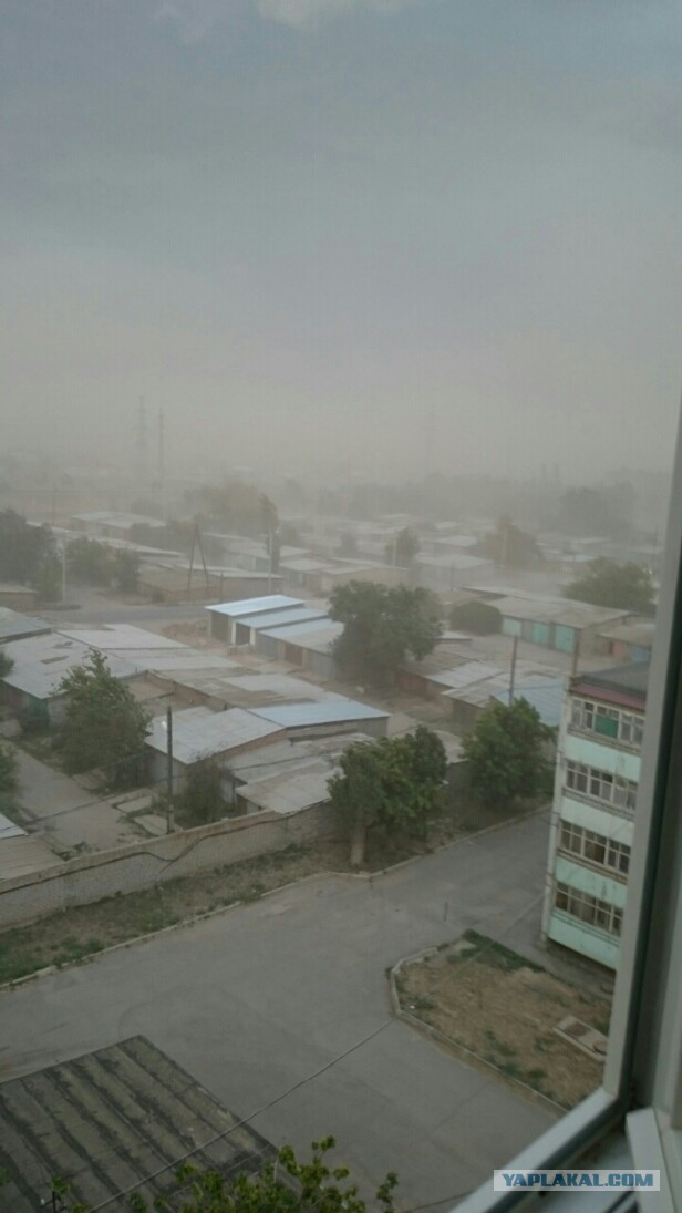 40 фактов о климате России, которые вы не знали