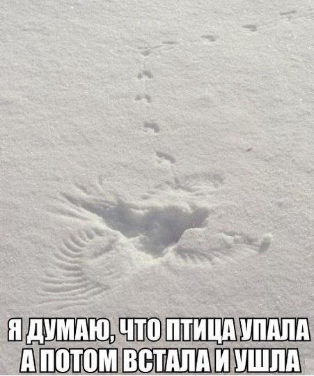 Очередная порция картинок с буквами на черном фоне