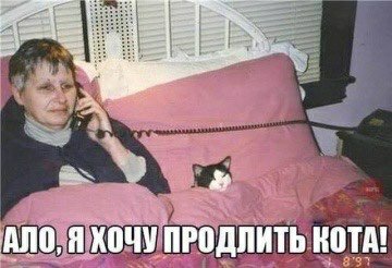Забавные картинки из Сети