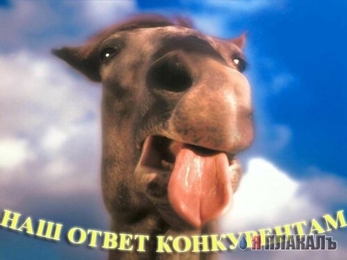 Они молятся за ЯПлакалъ !!!