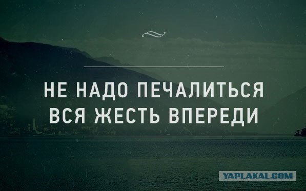 Путин: спекулянты виновными в падении уровня жизни