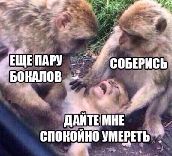 Я один так проснулся 1 января?