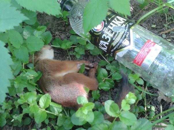 Подборка картинок 19.02.16