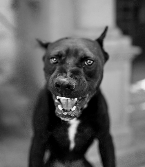 Взгляд