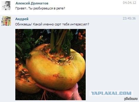 Смешные комментарии 27.03.2016