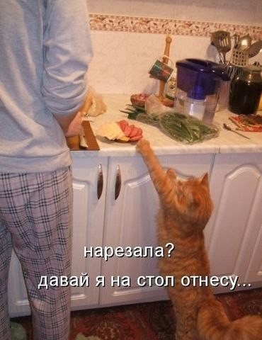 Мохнатые беспредельщики