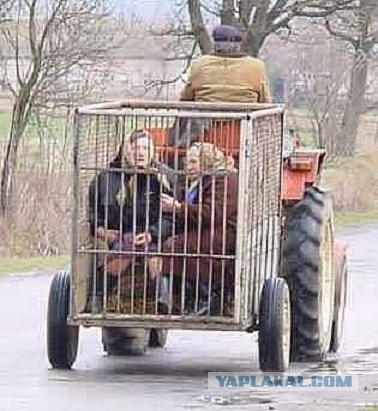 Везут же люди!