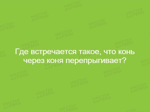 Подборка интересных и веселых картинок
