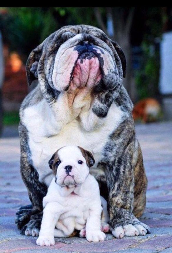 Подборка интересных и веселых картинок