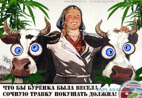 Сказ про Е*ун-Траву