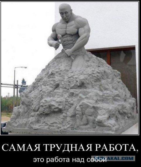 Бабы, вы совсем?