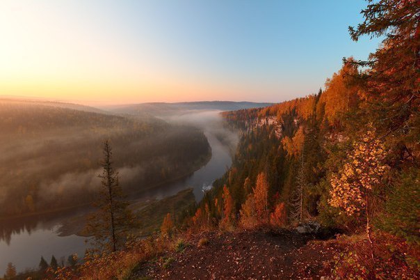 Порция картинок