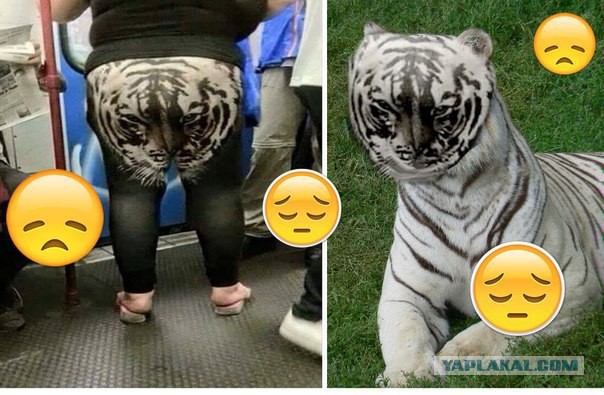 Приколюшки