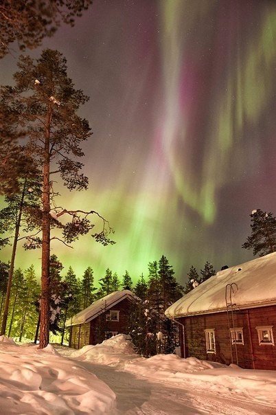 Моменты, запечатлённые на фото и просто позитив 5