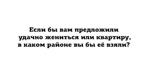 Смешные картинки с надписями 2