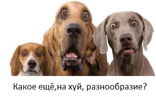 Новая эмблема Бундесвера