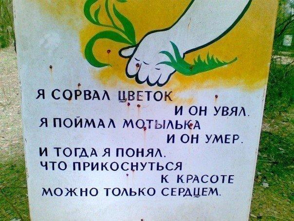 Подборка разного из сети