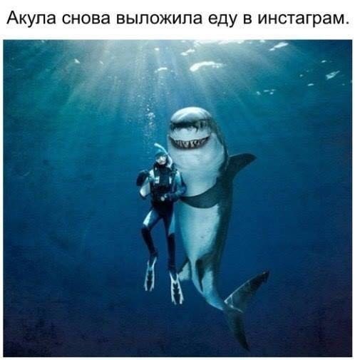 Прикольные картинки 28.06.2017.