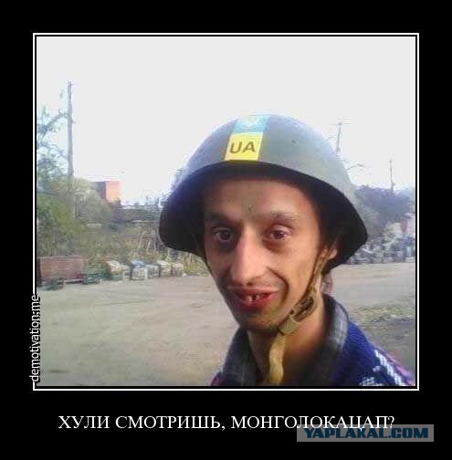 Как выглядит современный солдат в различных странах мира