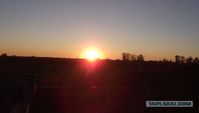 Просто Природа