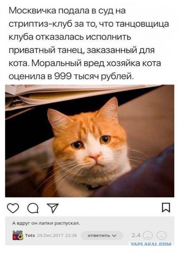 Перлы