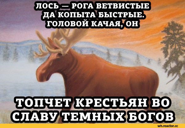 Лось