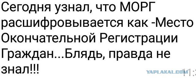 Смешные комментарии из социальных сетей