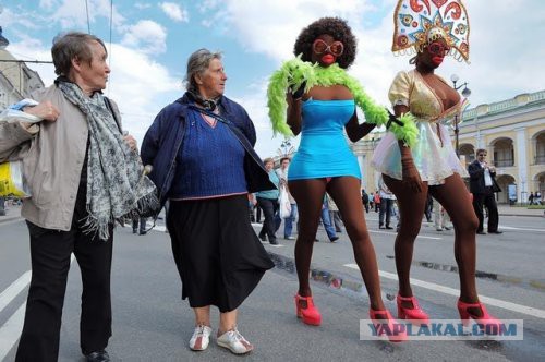 Чудики из социальных сетей