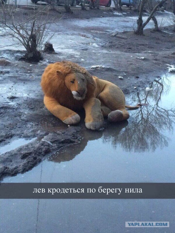 Нестандартный юмор