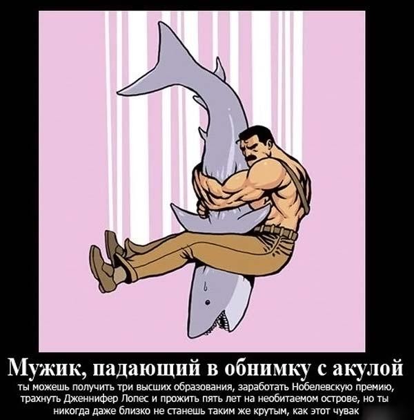 Акула на автомагистрали
