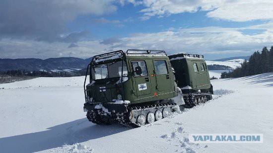 На базе обычных УАЗ серийно выпускают огромные внедорожники «Ямал»
