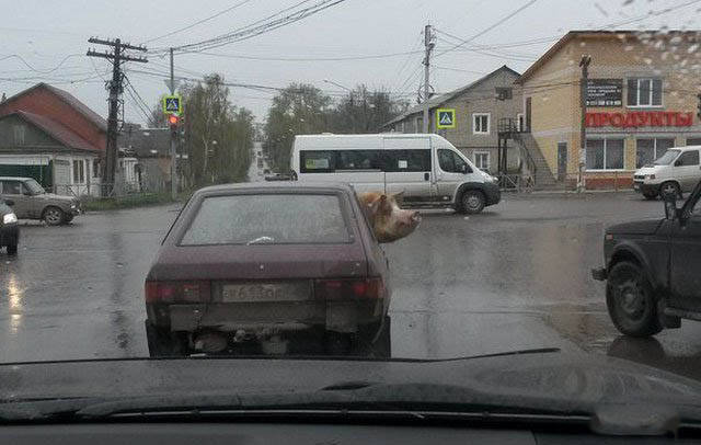 Удивительные снимки с российских просторов 10.02.19