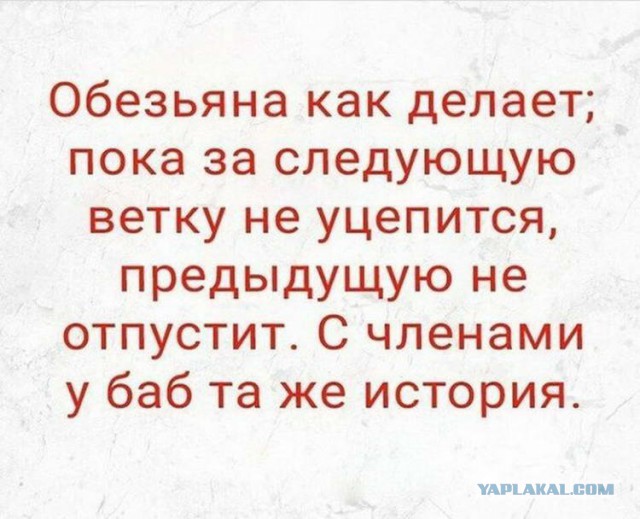 Бюро переводов. "Давай поживём раздельно"