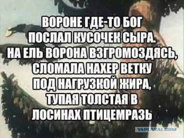 Бредзона 26.12.2019