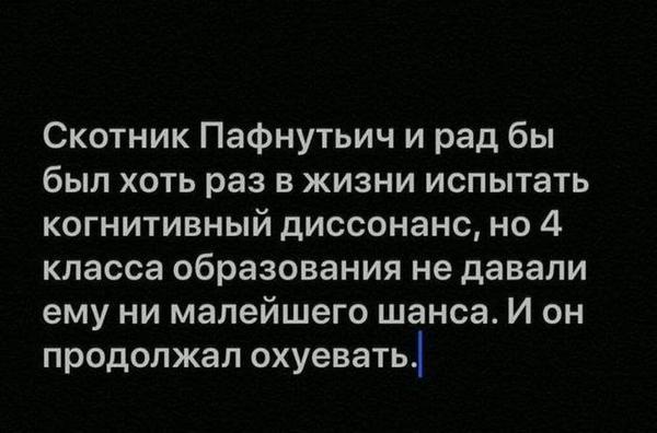 Забавные шутки, картинки и фразы из этих ваших интернетов
