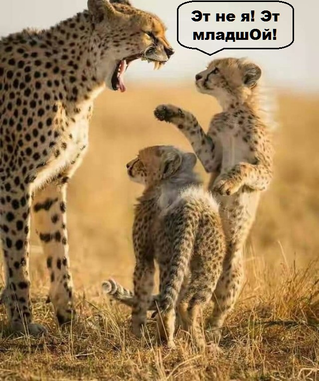 Мать