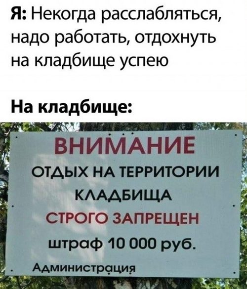 Немного картинок для настроения 04.07.20