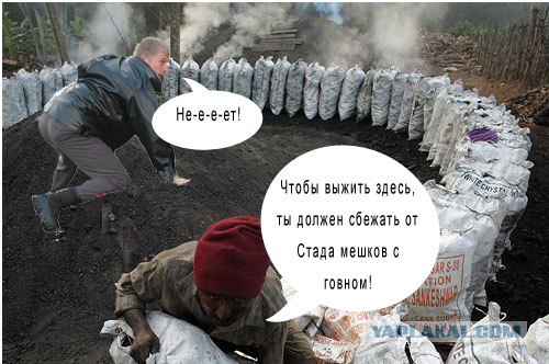 Фотожаба: гоп-стоп