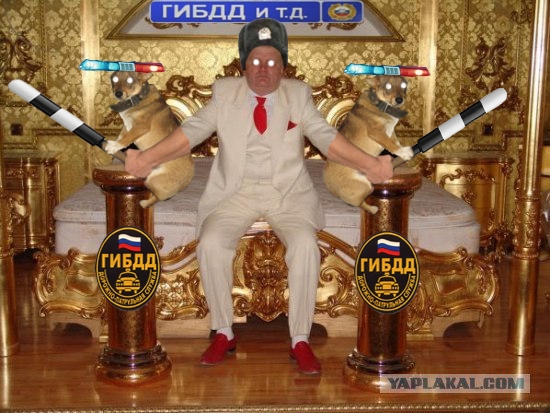 Собака на метле