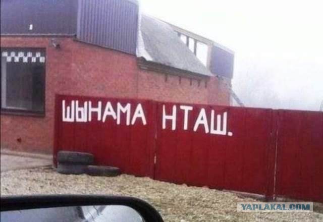 4 картинки