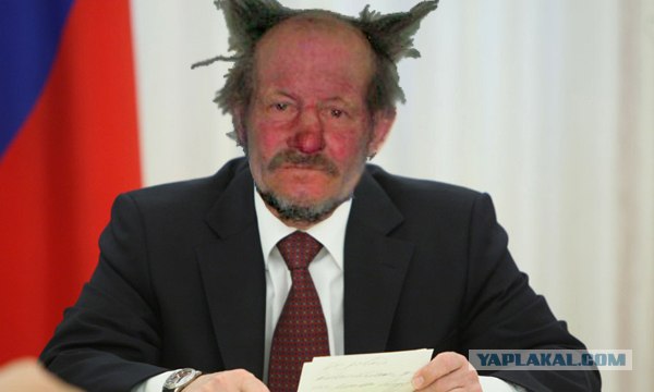 Домовенок...