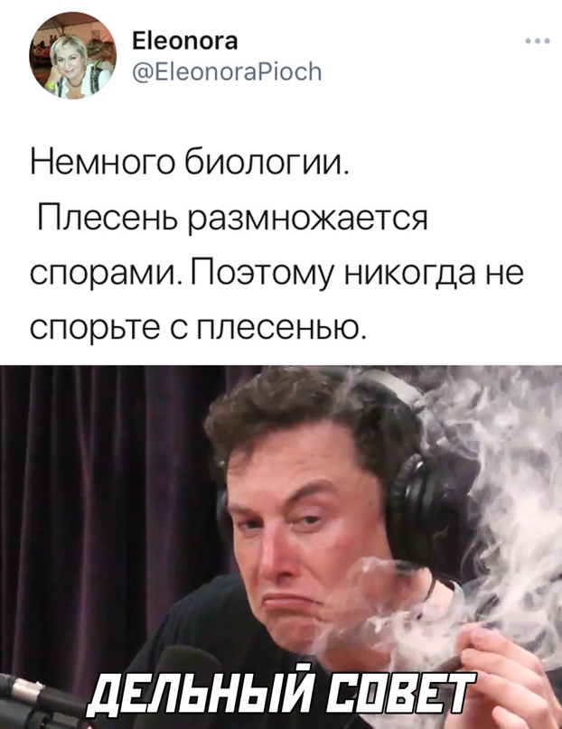 Весёлый полтишок 22.02